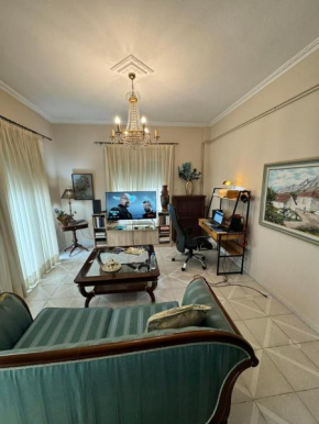 Big Trikala Apartment Half An hour from Meteora